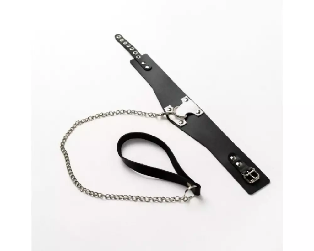 Ошейник CH-2029 "Crazy Handmade"