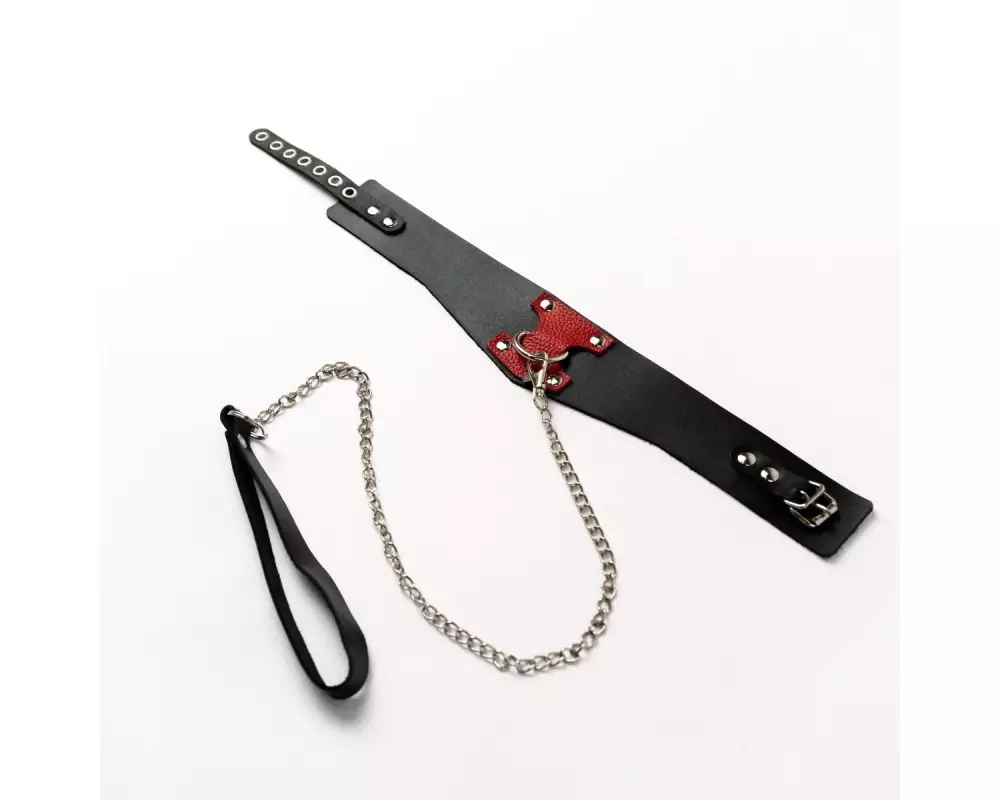 Ошейник CH-2028 "Crazy Handmade"