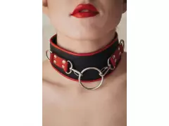 Ошейник 55031 Арсенал