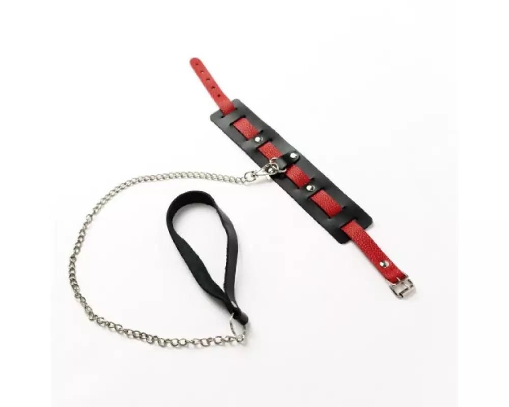 Ошейник CH-2027 "Crazy Handmade"